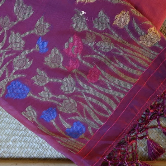 Cotton Ikat Saree